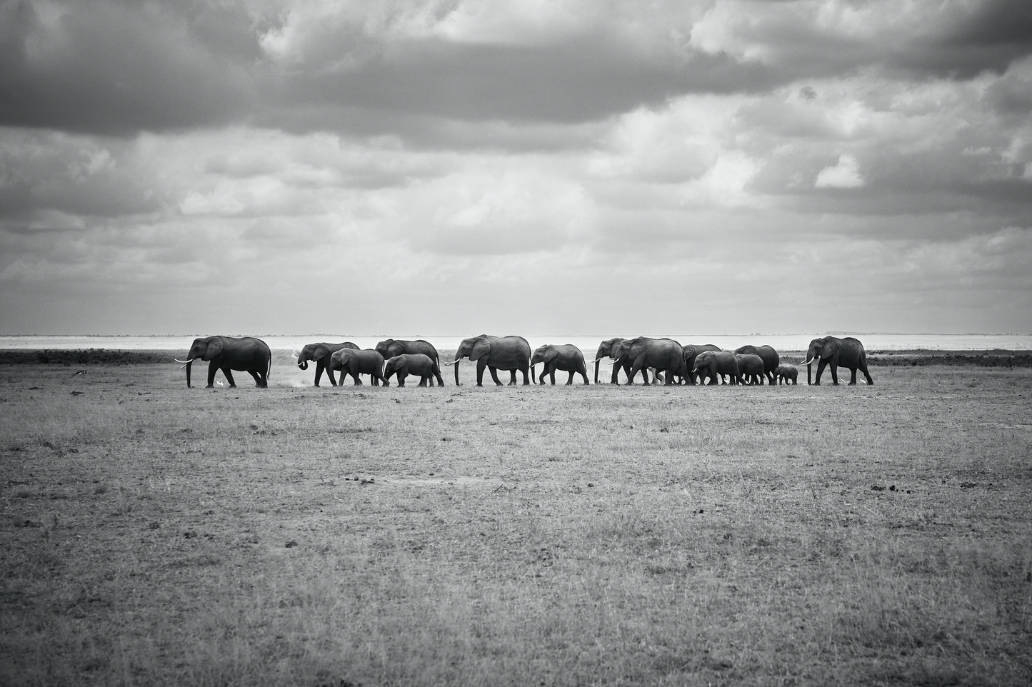 AMBOSELI