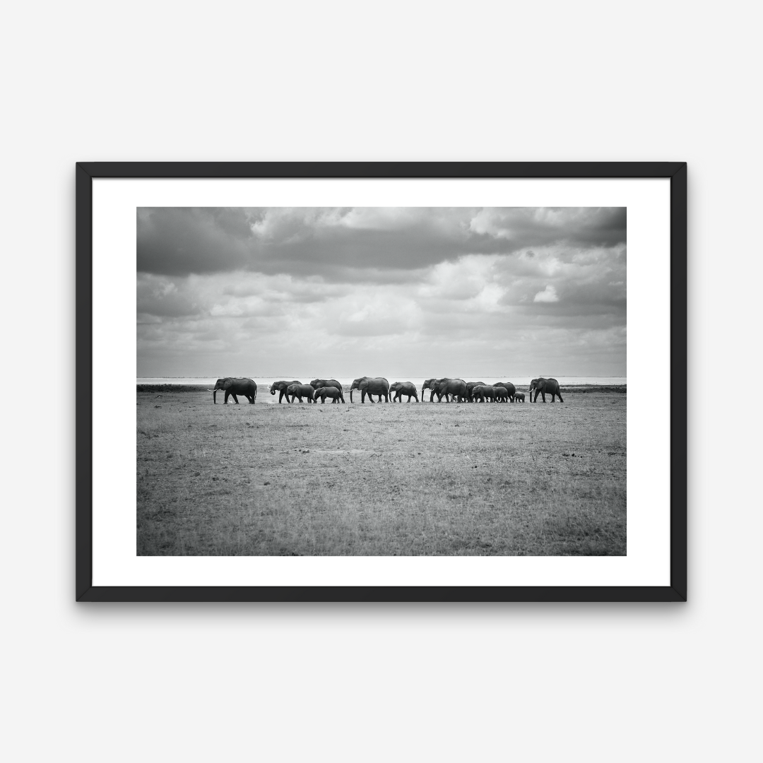 AMBOSELI