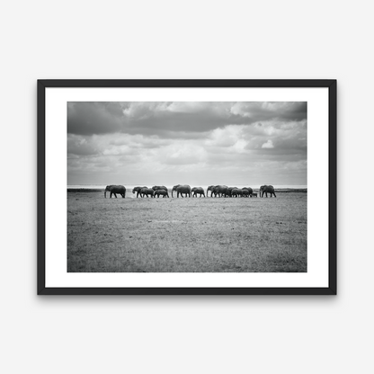 AMBOSELI