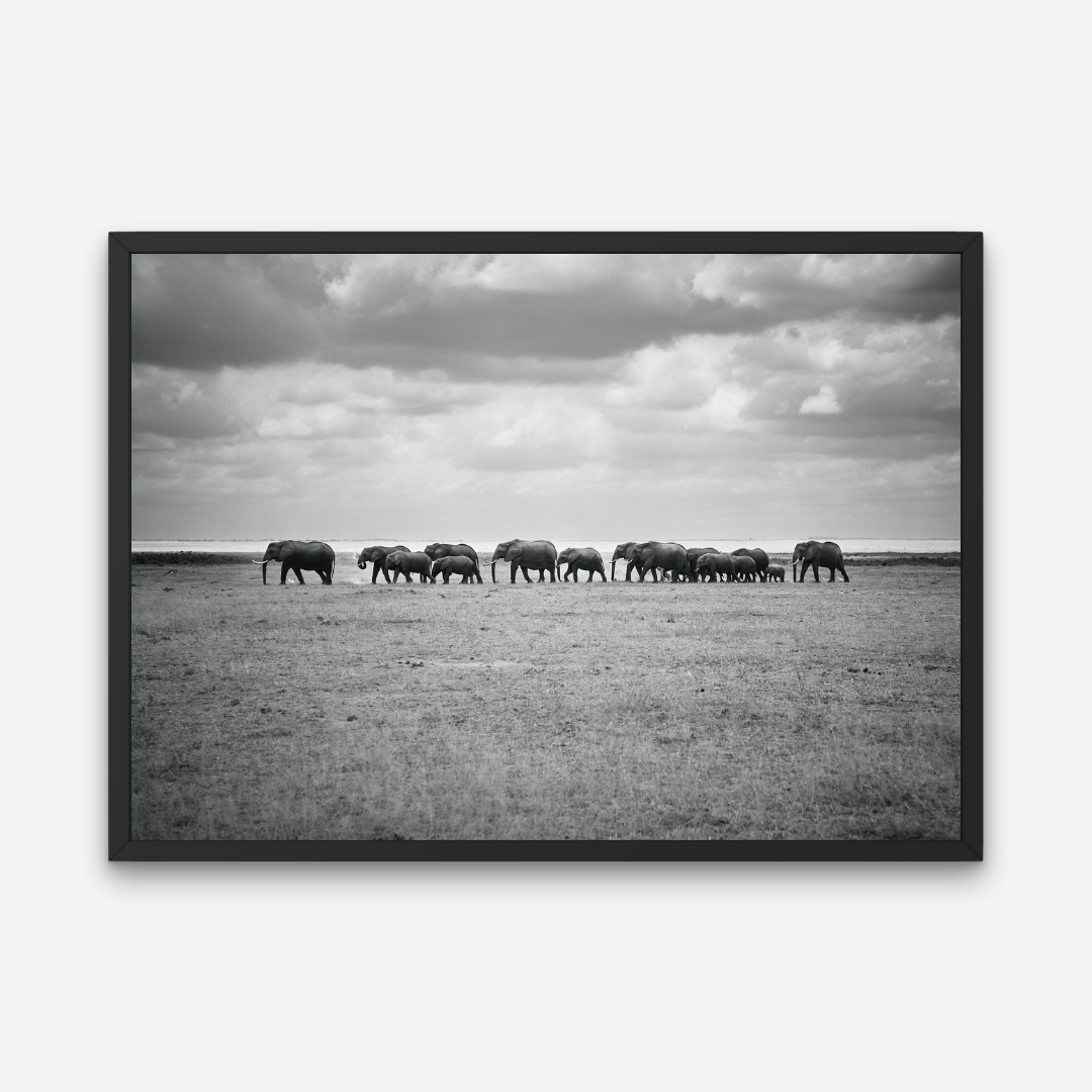 AMBOSELI