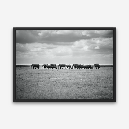 AMBOSELI