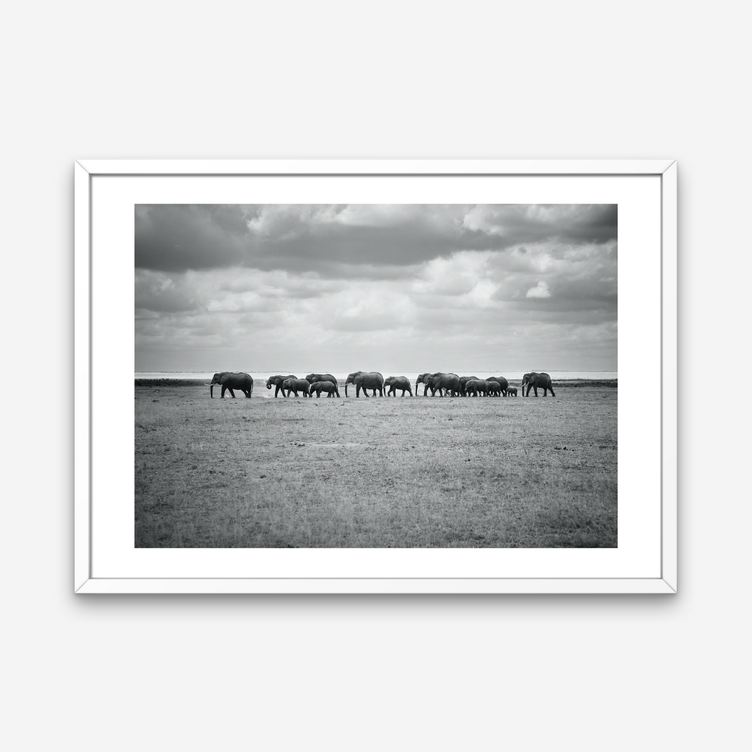 AMBOSELI