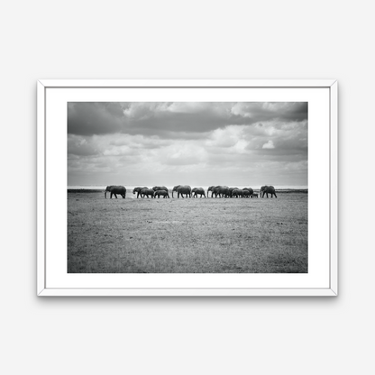 AMBOSELI