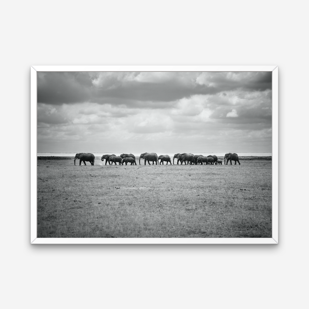 AMBOSELI
