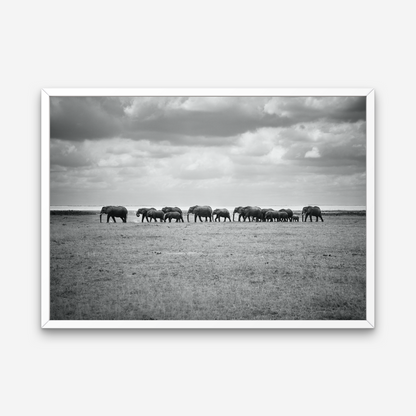 AMBOSELI