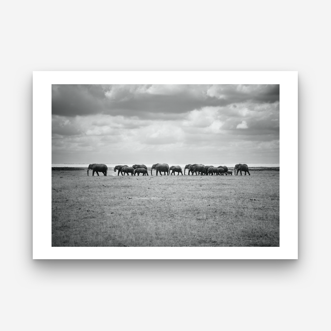 AMBOSELI