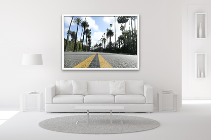 Palm Street