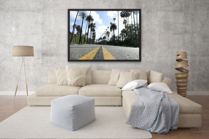 Palm Street