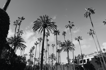 Beverly Hills