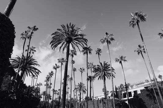 Beverly Hills