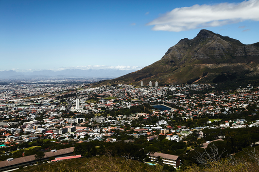 Lion's Head