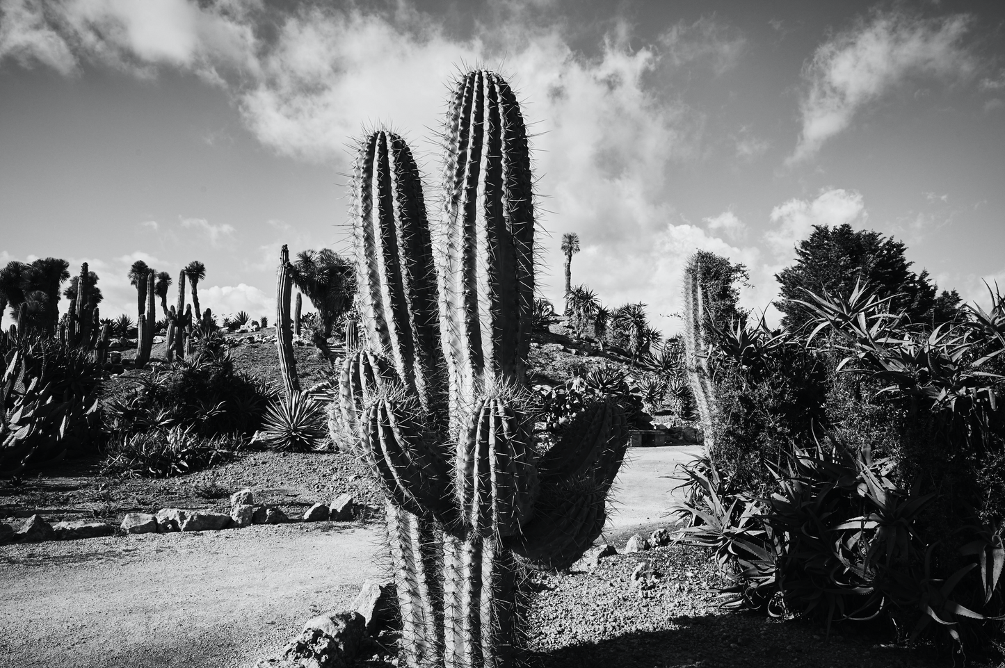 Los Angeles