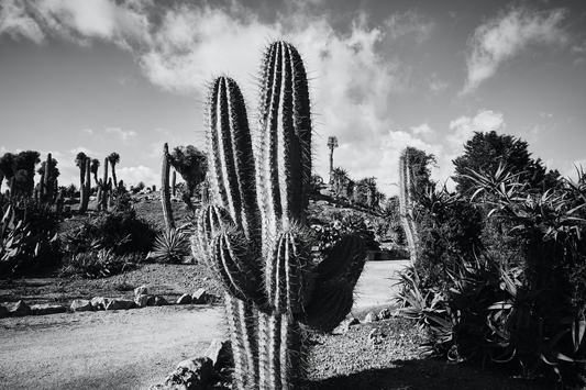 Los Angeles