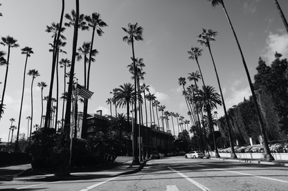 Sunset boulevard