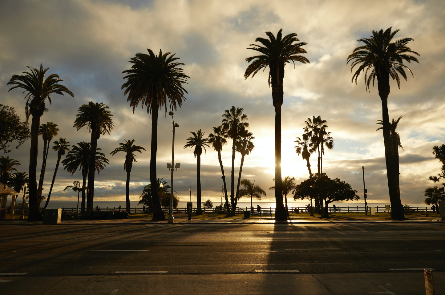 Venice Beach