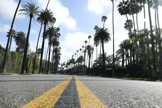Palm Street
