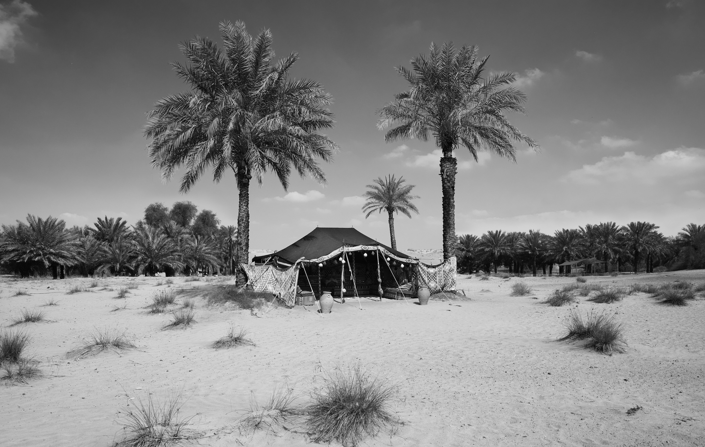 DESERT